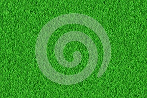 Lush green freshness grass texture