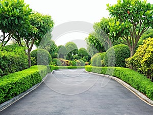 Lush Green Garden Pathway