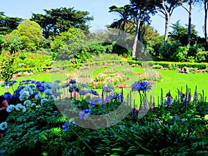 Lush green garden in San Francisco near Golden Gate Park