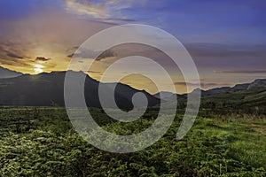 Lush green gorge of theewaters nature reserve during sunset in Overberg South Africa