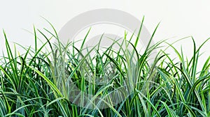 The lush green grass.AI generated image