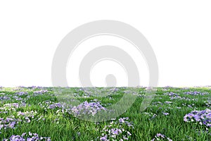 Lush green grass lawn with purple flowers fresh nature isolated on white background with clipping path 3d render