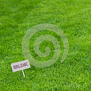 Lush green grass with an Organic sign