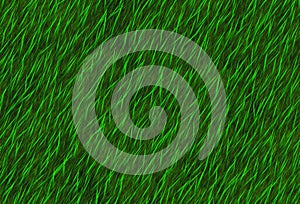 Lush green grass texture