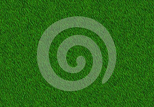 Lush green grass texture