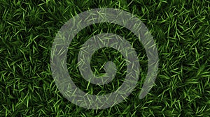 Lush Green Grass texture from Overhead View