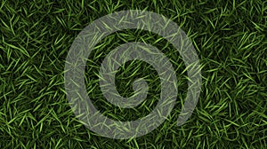 Lush Green Grass texture from Overhead View