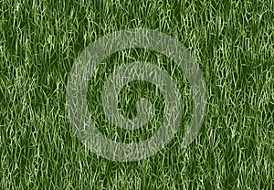 Lush green grass texture. wallpapers pattern