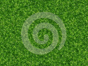 Lush green grass texture. wallpapers pattern