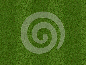 Lush green grass texture. wallpapers pattern