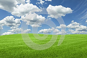 Lush green grass under bright blue sky with fluffy clouds