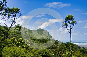 Lush green hills on the coast of the Waitakere Ranges, New Zealand