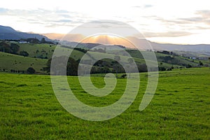 Lush green hills landscape in Australia at sunset