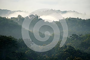 Lush green hills partially shrouded in morning mist create a dreamy landscape.