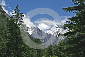 Lush green himalayan forest and snow peaked valley India