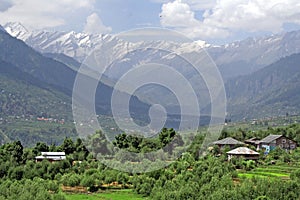 Esuberante verde Himalayano la Valle un la neve picchi 