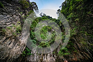 Lush green jungle a top mountain at Monkey Beach in Phi Phi islands, Thailand