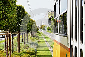 Lush green lawn between the streetcar rail tracks. Yellow tram in closeup perspective. urban street in summer