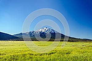 Lush Green Meadow and Mount Bachelor photo