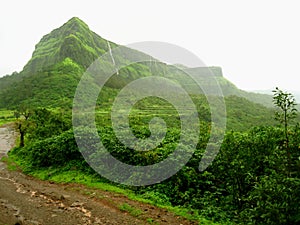 Lush green mountain and jungle