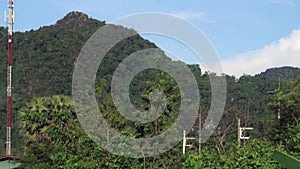 Lush green mountain landscape and rain-forest plaint trees with cell phone telecommunication antenna