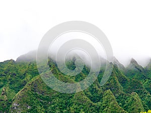 Lush green mountain tops disappearing into fog