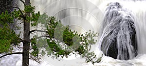 Lush green pine tree with waterfall of cascading water over rocks