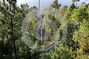Lush Green Pine Trees Forest Landscape and Patriata Chairlift, New Murree, Punjab, Pakistan
