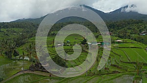 Lush green rice field terraces in Bali. Aerial view of irrigated farm fields and cloudy mountains with tropical