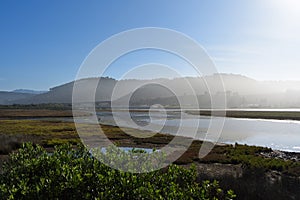 Lush Green River Estuary Landscape