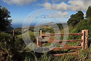 Lush green St Helena Island country landscape