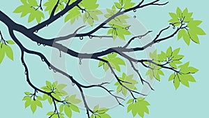 Lush Green Tree Branch, nature, spring, growth, vector design Generative AI photo