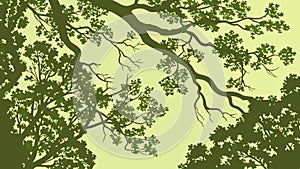 Lush Green Tree Branches Close-up, vector design Generative AI photo