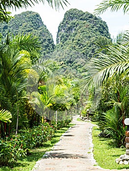 Lush green tropical retreat resort alley at Khao Sok lake