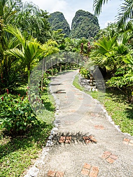 Lush green tropical retreat resort alley at Khao Sok lake