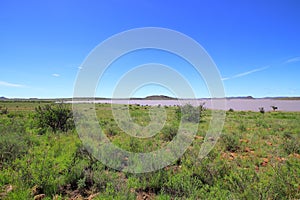 Lush green veld with blue sky