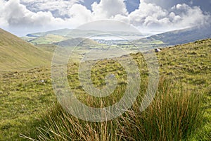 Lush green view of the mountains in county kerry