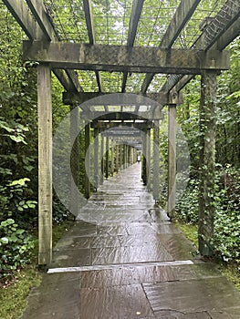 A lush green walkway at the Bru na Boinne visitor center in Ireland, on a rainy day
