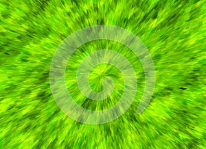 Lush green wind grass texture