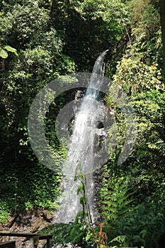 Lush greenery frames cascading waterfall, nature& x27;s verdant masterpiece unveiled. photo