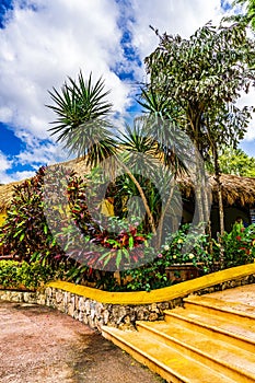 Lush Greenery and Pathway at Ik-Kil Cenote, Yucatan