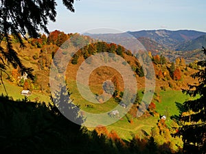 Lush hillside with autumn trees seen from  Munticelu Cave, Sibiu, Paltinis