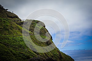 Lush hillside trail to Devil's Churn in Cape Perpetua, Oregon