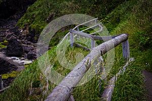 Lush hillside trail to Devil's Churn in Cape Perpetua, Oregon