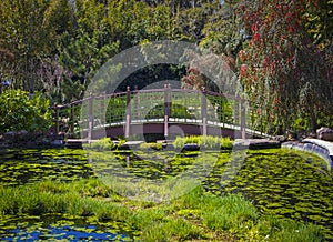 Lush Japanese garden featuring a green bridge