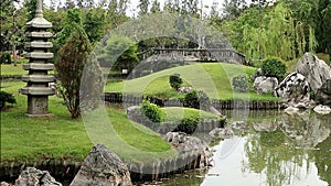 Lush Japanese Garden with Tortoise Islands in the Pond