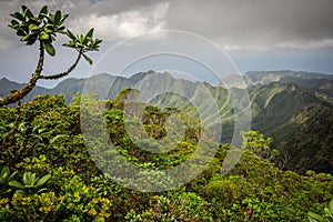 Lush jungle mountains of Hawaii