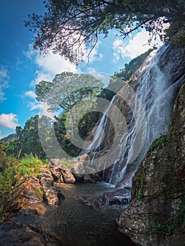 Lush Jungle Waterfall Cascading into a Rocky Pool