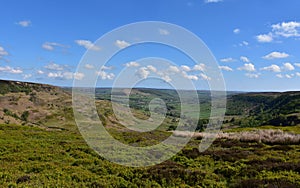 Lush Landscape with Fields, Moors and Boggs in England