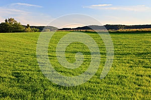 Lush lawn green grass garden house front yard land rural residential empty yard beautiful carpet blue sky feeding home backyard